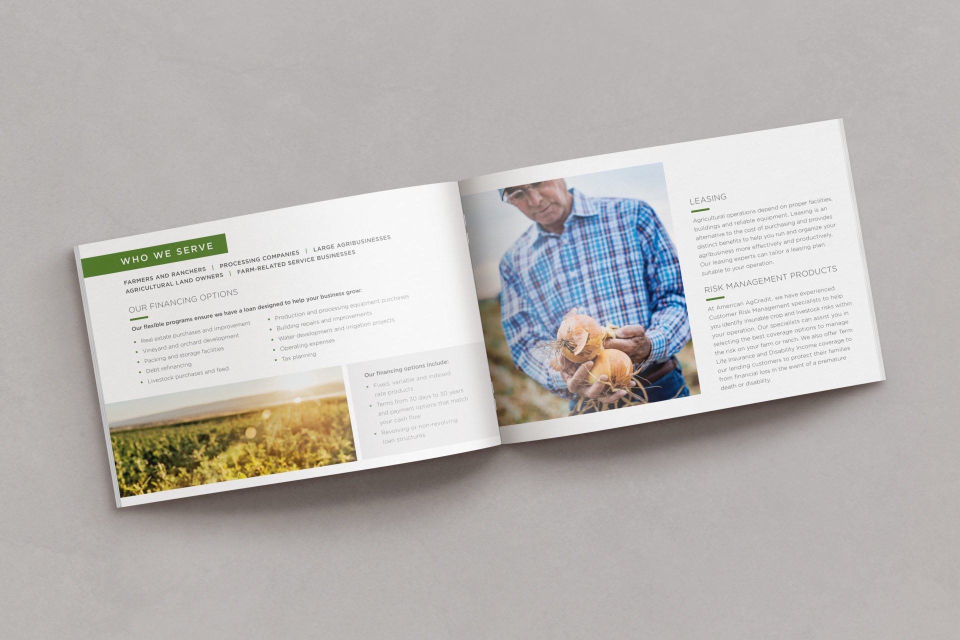 Financing Ag Brochure